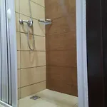 U Studánky *