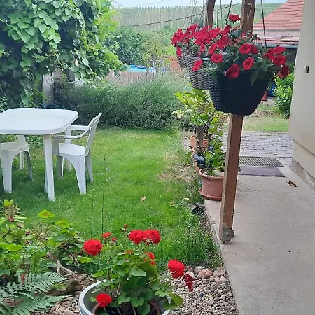 Apartment U Studanky Horni Vestonice