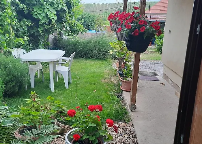 Apartment U Studanky Horni Vestonice